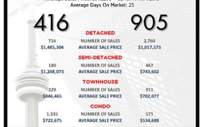 Professionals Market Report for February 2020